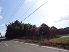 霧島市福山町福地　売土地